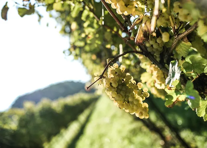 Kellerstoeckl Am Neusetzberg דירה